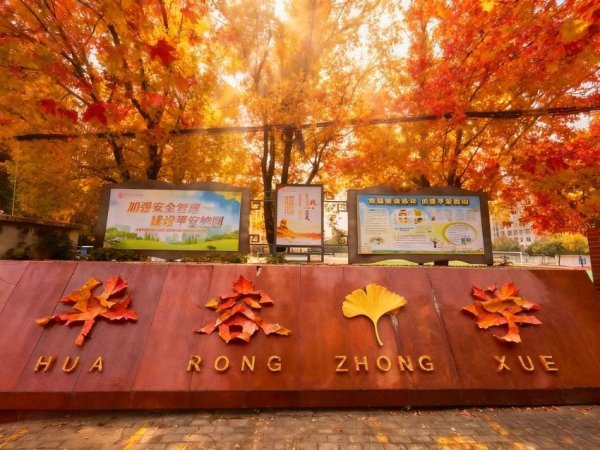 股顺网 邂逅限定秋景，“拼”出华容秋日画卷