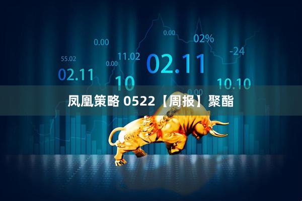 凤凰策略 0522【周报】聚酯