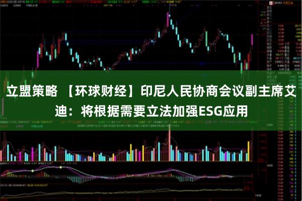 立盟策略 【环球财经】印尼人民协商会议副主席艾迪：将根据需要立法加强ESG应用