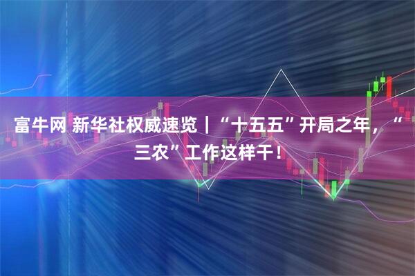 富牛网 新华社权威速览｜“十五五”开局之年，“三农”工作这样干！